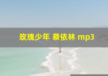 玫瑰少年 蔡依林 mp3